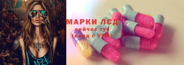 хмурый Алексин