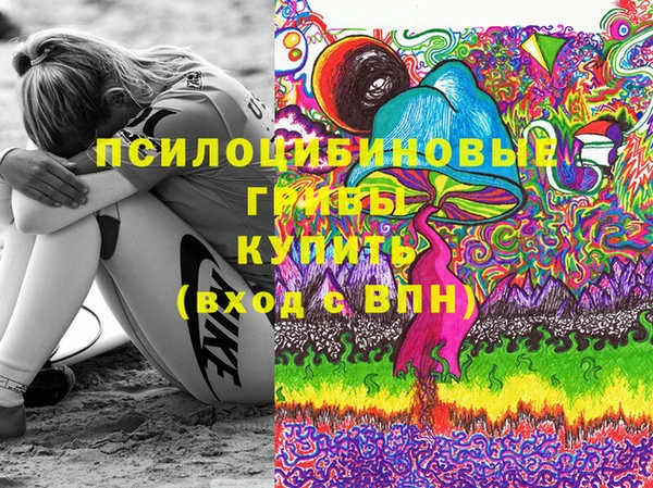 хмурый Алексин